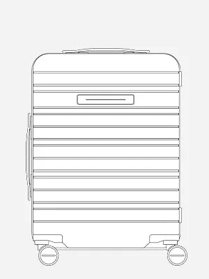 H6 Check-In Luggage